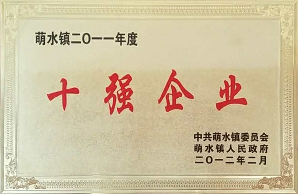 Top-ten Enterprises