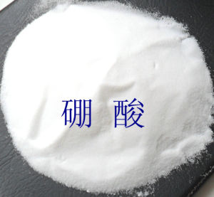新闻资讯
